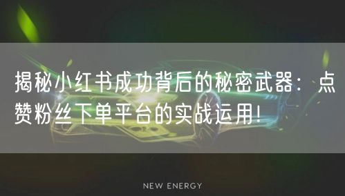 揭秘小红书成功背后的秘密武器：点赞粉丝下单平台的实战运用！