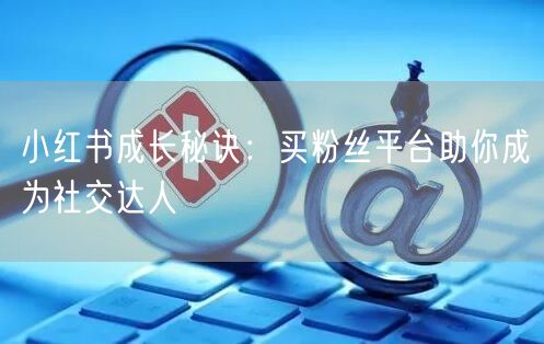 小红书成长秘诀：买粉丝平台助你成为社交达人