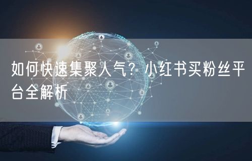 如何快速集聚人气？小红书买粉丝平台全解析