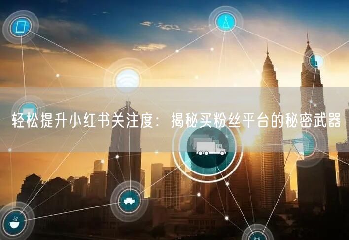 轻松提升小红书关注度：揭秘买粉丝平台的秘密武器