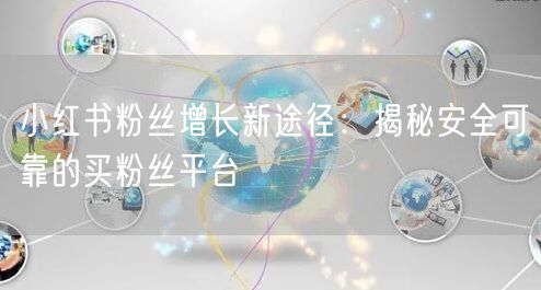 小红书粉丝增长新途径：揭秘安全可靠的买粉丝平台