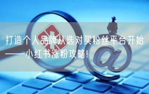 打造个人品牌从选对买粉丝平台开始——小红书涨粉攻略!