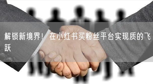解锁新境界！在小红书买粉丝平台实现质的飞跃