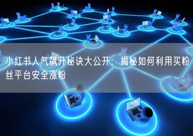 小红书人气飙升秘诀大公开：揭秘如何利用买粉丝平台安全涨粉