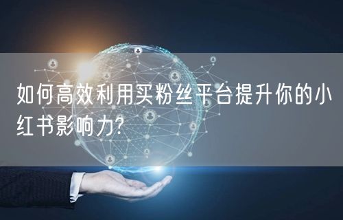 如何高效利用买粉丝平台提升你的小红书影响力?