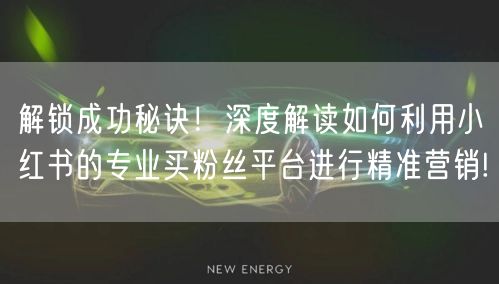 解锁成功秘诀！深度解读如何利用小红书的专业买粉丝平台进行精准营销!