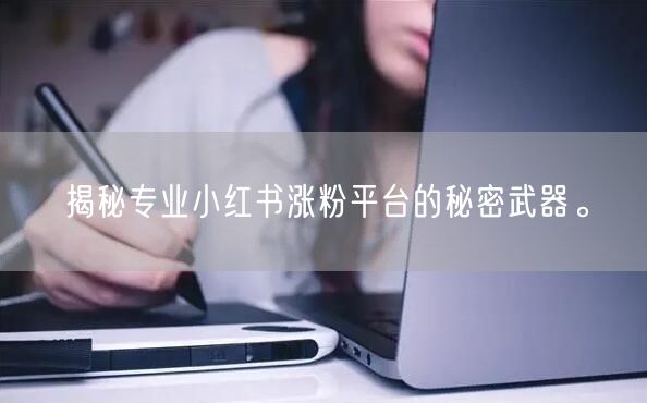 揭秘专业小红书涨粉平台的秘密武器。