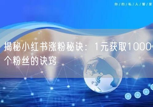 揭秘小红书涨粉秘诀：1元获取1000个粉丝的诀窍