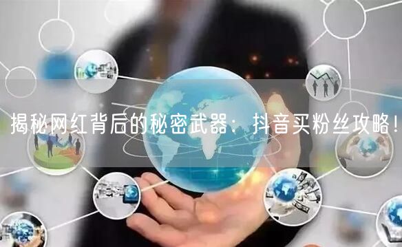 揭秘网红背后的秘密武器：抖音买粉丝攻略！
