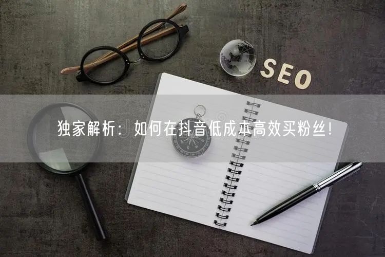 独家解析：如何在抖音低成本高效买粉丝！