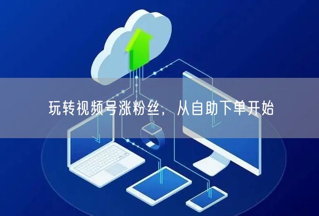 玩转视频号涨粉丝，从自助下单开始