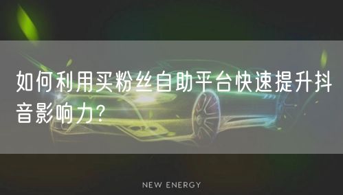 如何利用买粉丝自助平台快速提升抖音影响力？