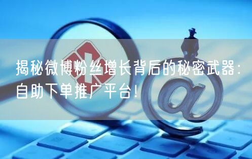 揭秘微博粉丝增长背后的秘密武器：自助下单推广平台！