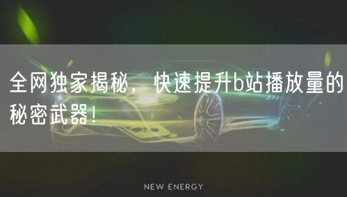 全网独家揭秘，快速提升b站播放量的秘密武器！