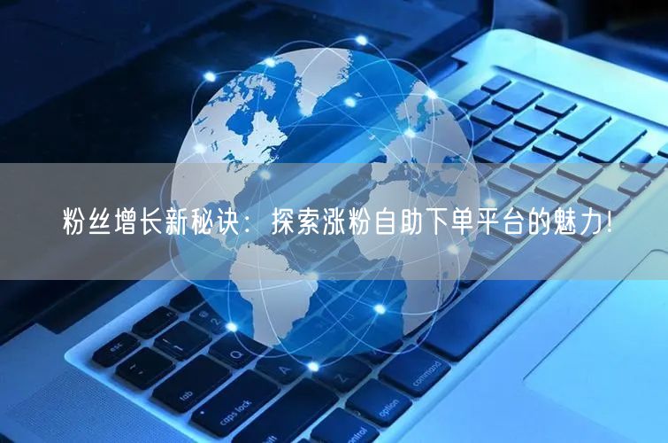 粉丝增长新秘诀：探索涨粉自助下单平台的魅力！