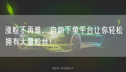 涨粉不再难，自助下单平台让你轻松拥有大量粉丝！