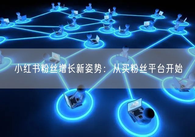 小红书粉丝增长新姿势：从买粉丝平台开始