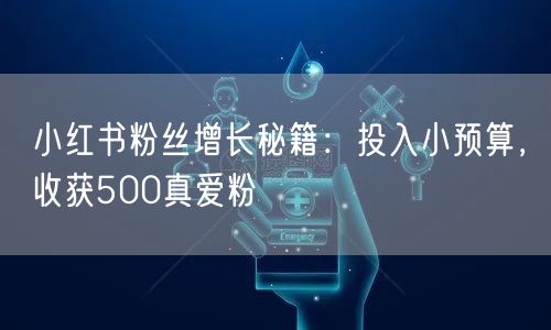 小红书粉丝增长秘籍：投入小预算，收获500真爱粉