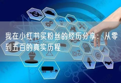 我在小红书买粉丝的经历分享：从零到五百的真实历程
