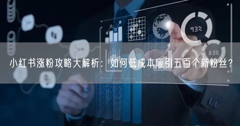 小红书涨粉攻略大解析：如何低成本吸引五百个新粉丝？