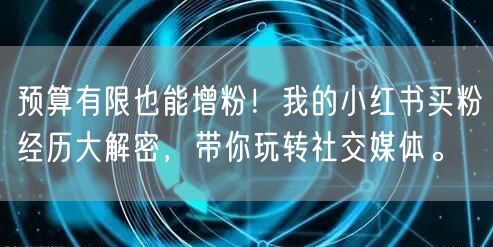 预算有限也能增粉！我的小红书买粉经历大解密，带你玩转社交媒体。