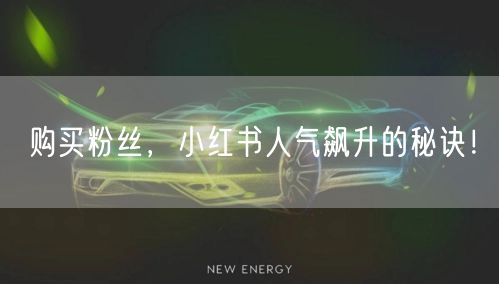 购买粉丝，小红书人气飙升的秘诀！