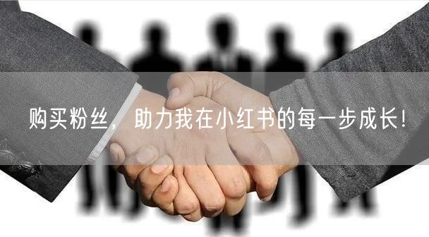 购买粉丝，助力我在小红书的每一步成长！