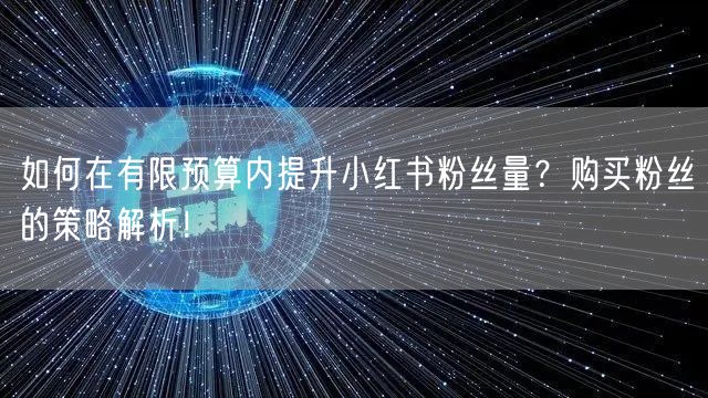 如何在有限预算内提升小红书粉丝量？购买粉丝的策略解析！