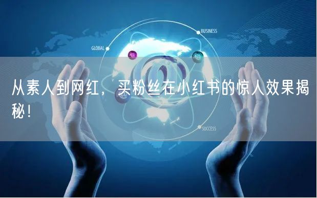 从素人到网红，买粉丝在小红书的惊人效果揭秘！