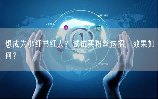 想成为小红书红人？试试买粉丝这招，效果如何？