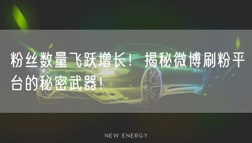 粉丝数量飞跃增长！揭秘微博刷粉平台的秘密武器！