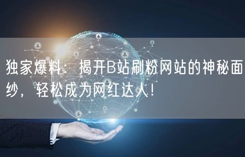 独家爆料：揭开B站刷粉网站的神秘面纱，轻松成为网红达人！