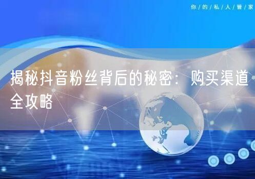 揭秘抖音粉丝背后的秘密：购买渠道全攻略