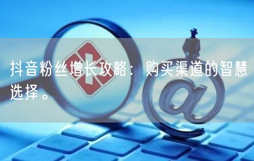抖音粉丝增长攻略：购买渠道的智慧选择。