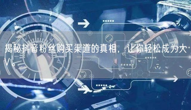 揭秘抖音粉丝购买渠道的真相，让你轻松成为大V。
