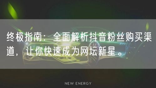 终极指南：全面解析抖音粉丝购买渠道，让你快速成为网坛新星。