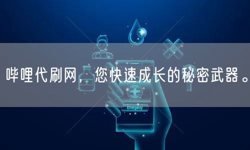 哔哩代刷网，您快速成长的秘密武器。