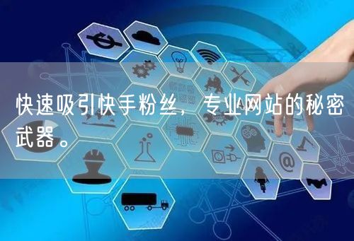 快速吸引快手粉丝，专业网站的秘密武器。